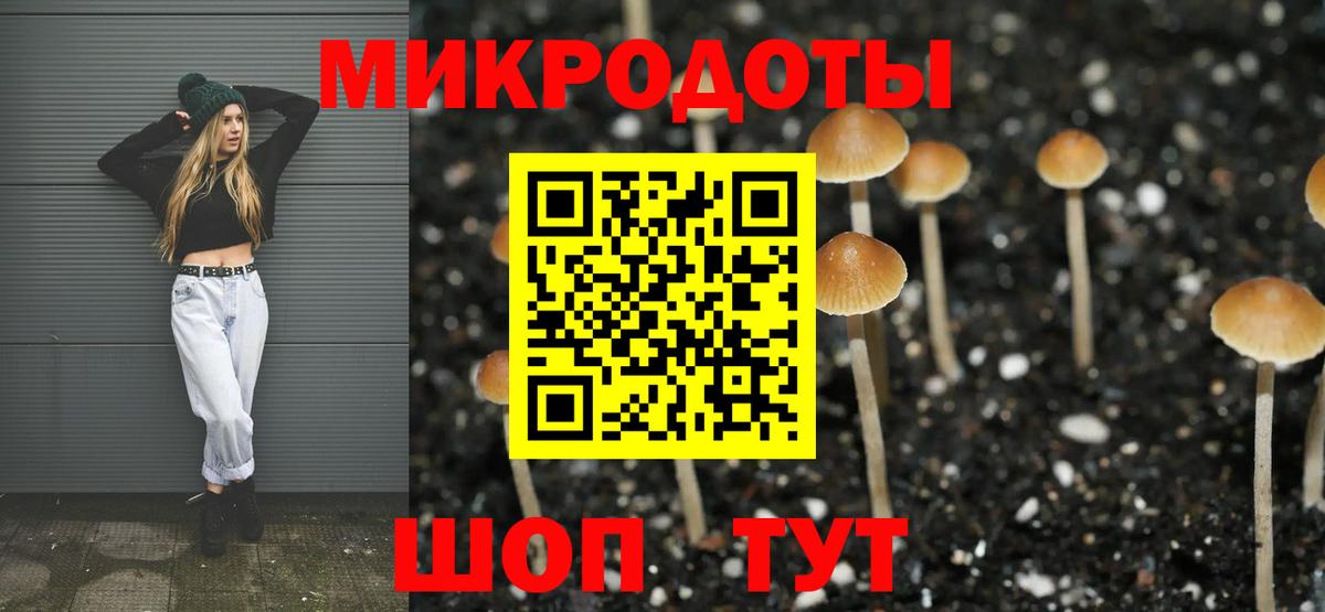 Гусь-Хрустальный  Псилоцибиновые грибы прущие грибы  Галлюциногенные грибы Cubensis  где купить наркоту  Вход с VPN 